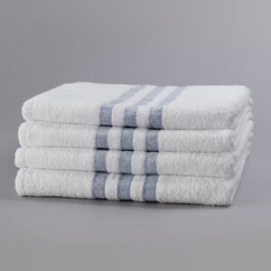 Standard Textile Blue Stripe Towels collection